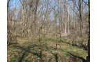 Property photo 56 - 137 Acres in 2 Tracts - 64 Tillable Acres, Potential Building Sites, Hunting